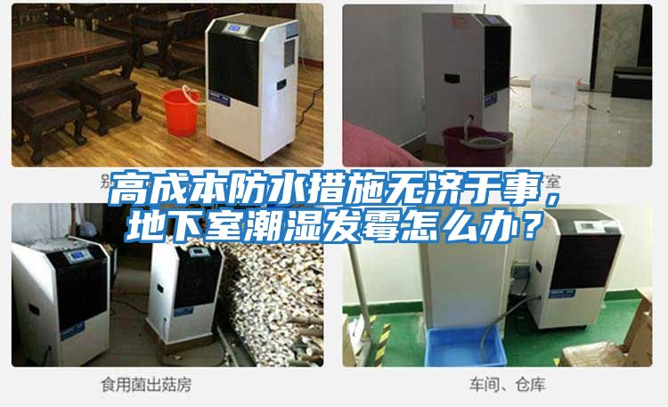 高成本防水措施無濟于事，地下室潮濕發(fā)霉怎么辦？