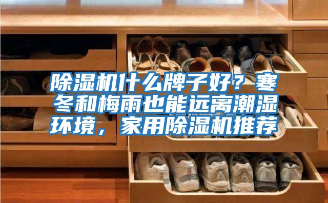 除濕機什么牌子好？寒冬和梅雨也能遠離潮濕環境，家用除濕機推薦