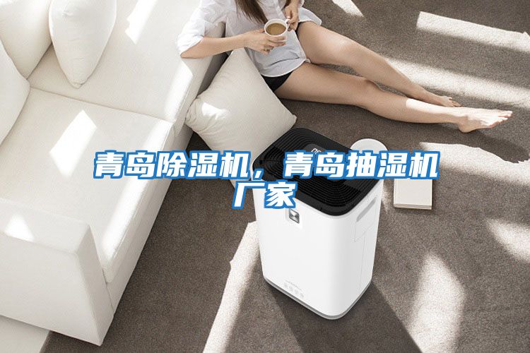 青島除濕機，青島抽濕機廠家