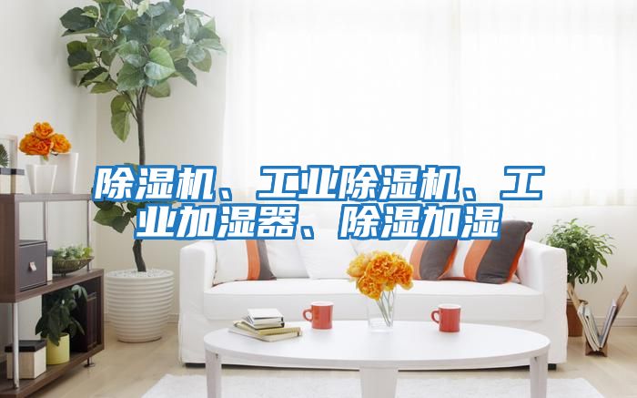 除濕機(jī)、工業(yè)除濕機(jī)、工業(yè)加濕器、除濕加濕